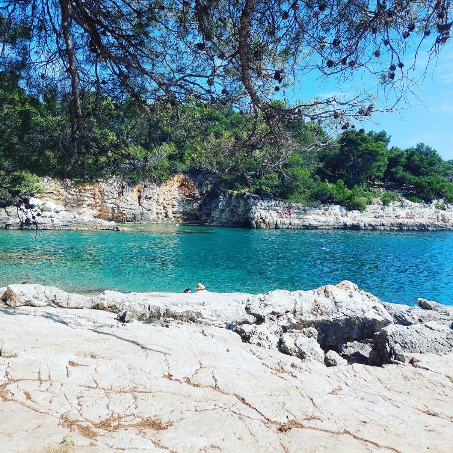 Pulabella * Pula