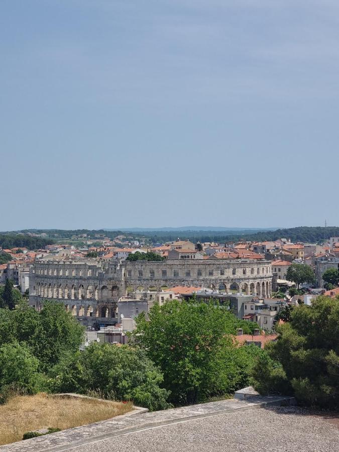 Pulabella * Pula