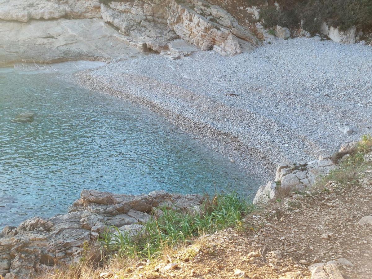 Pulabella Pula
