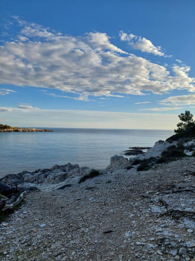 Pulabella Pula
